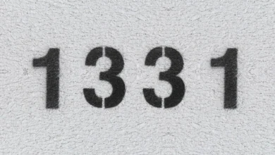 1331 Bedeutung